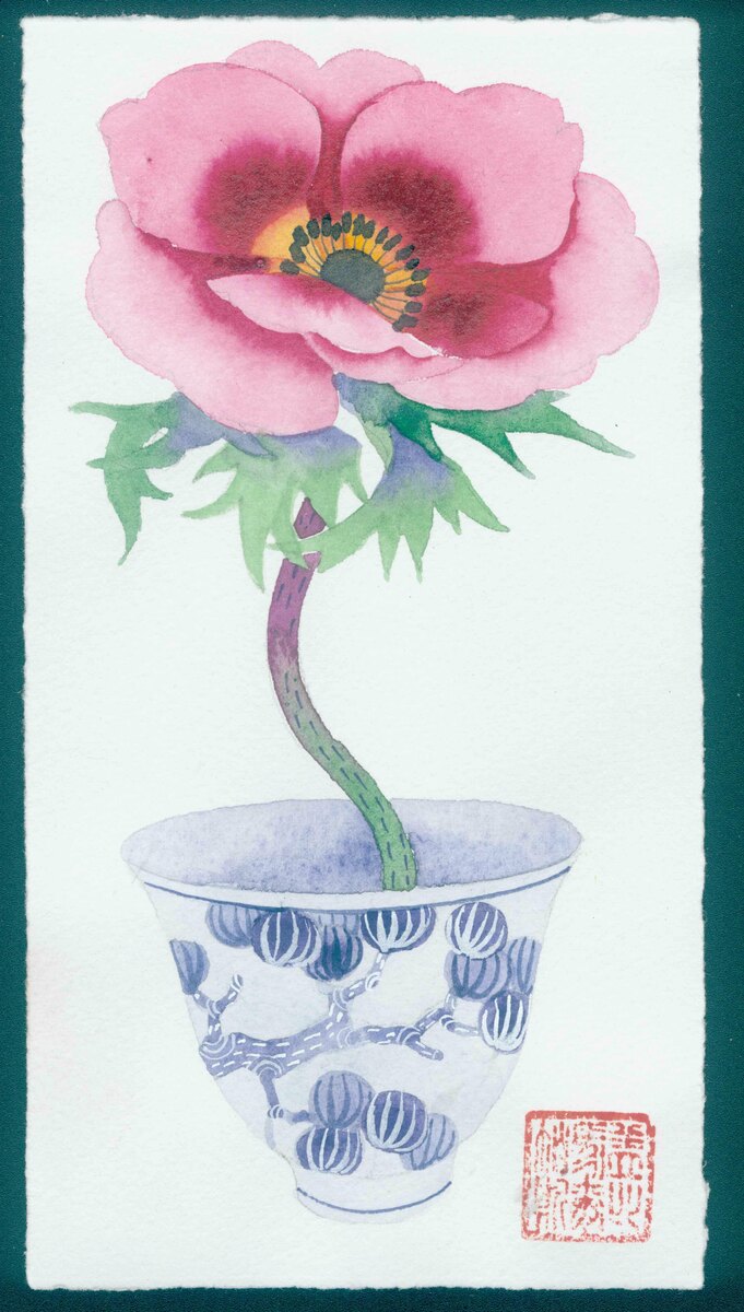 Anemone in a teacup