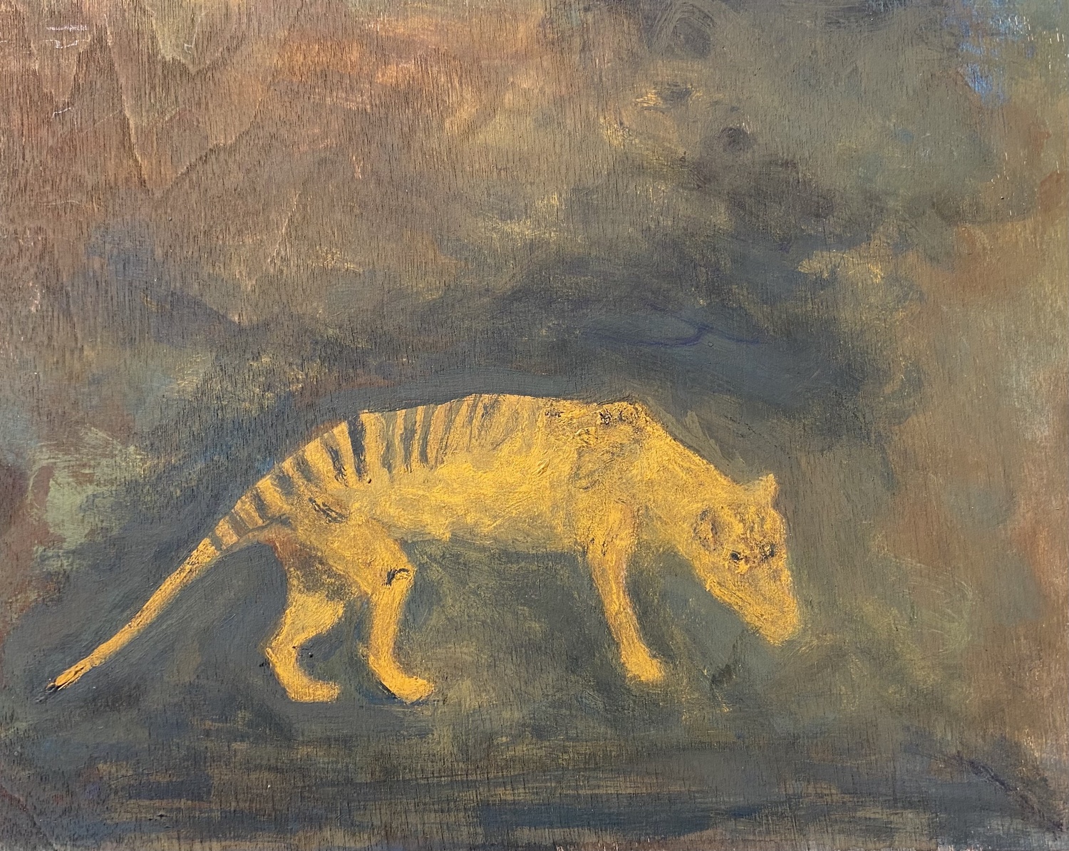 Thylacine study