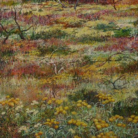 Billy Buttons on the High Plains 93cm x 93cm (oil/wax on canvas) $4800
