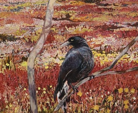 Raven in High Country Field of Wildflowers